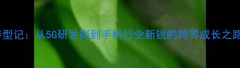 图片 华为离职工程师转型记：从5G研发岗到手机行业新锐的跨界成长之路（附薪酬数据）1
