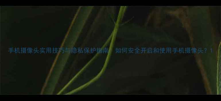 图片 手机摄像头实用技巧与隐私保护指南：如何安全开启和使用手机摄像头？1