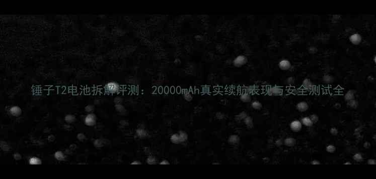 图片 锤子T2电池拆解评测：20000mAh真实续航表现与安全测试全