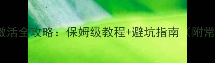 图片 📱日版iPhone激活全攻略：保姆级教程+避坑指南（附常见问题解答）2