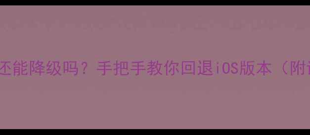 图片 📱苹果系统还能降级吗？手把手教你回退iOS版本（附详细教程）1